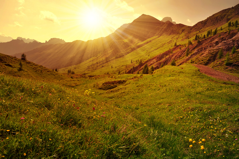 moving services Moving companies