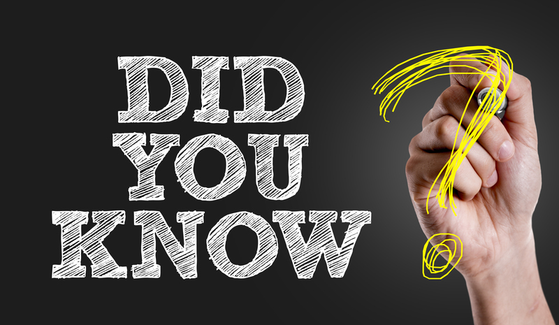 moving company moving companies